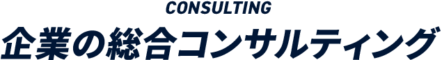 企業の総合コンサルティング